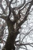 201212281250-AJS_5732.jpg